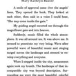 Load image into Gallery viewer, A Divine Revelation of Heaven - Mary K. Baxter
