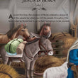 Load image into Gallery viewer, The Complete Illustrated Children's Bible
