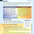 Load image into Gallery viewer, Beatitudes Pamphlet
