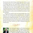 Load image into Gallery viewer, Life Lessons from 1 &amp; 2 Peter, 2018 Edition - Max Lucado
