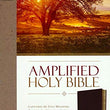 Load image into Gallery viewer, Personalized Amplified Holy Bible Thumb Indexed Bonded Leather Burgundy
