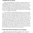 Load image into Gallery viewer, To Train Up A Child - Michael &amp; Debi Pearl
