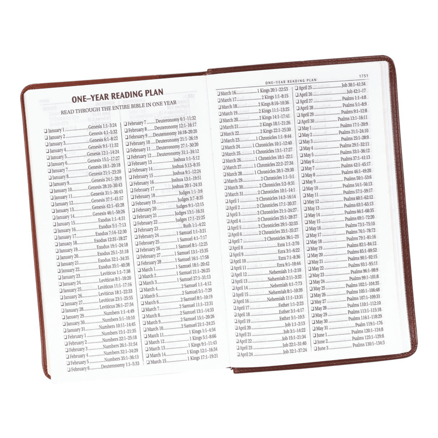 Personalized Custom Text Your Name KJV Giant Print Two-Tone Brown Bible King James Version