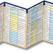 Load image into Gallery viewer, 100 Prophecies Fulfilled By Jesus Pamphlet
