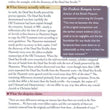 Load image into Gallery viewer, Why Trust the Bible Pamphlet
