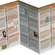 Load image into Gallery viewer, Christianity, Cults, &amp; Religions Pamphlet
