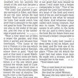 Load image into Gallery viewer, Personalized Bible NKJV SuperGiant Print Reference LeatherTouch
