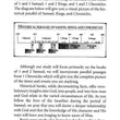Load image into Gallery viewer, Desiring God's Own Heart: 1 &amp; 2 Samuel, 1 Chronicles - Kay Arthur
