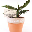 Load image into Gallery viewer, Furry Feather Calathea Live Plant in a 'Grow with God' Ceramic Clay Planter
