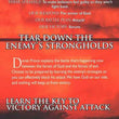 Load image into Gallery viewer, Spiritual Warfare: How to Disarm the Enemy &amp; Administer the Victory of Jesus! - Derek Prince
