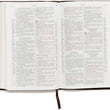 Load image into Gallery viewer, Personalized RVR 1960 Biblia de Estudio Scofield Tamano Personal Chocolate Oscuro Símil Piel (SPANISH)
