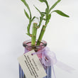 Load image into Gallery viewer, Bamboos in Scripture Verses Pink Glass Vase
