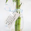Load image into Gallery viewer, Bamboos in Scripture Verses Vase

