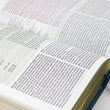Load image into Gallery viewer, Personalized Tyndale NLT Life Application Large Print Study Bible Third Edition LeatherLike TealBlue
