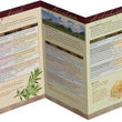 Load image into Gallery viewer, Christ In The Old Testament Pamphlet
